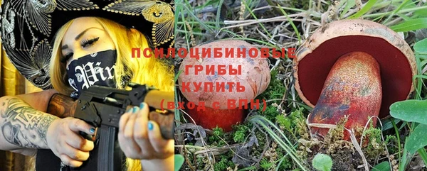 индика Елизово