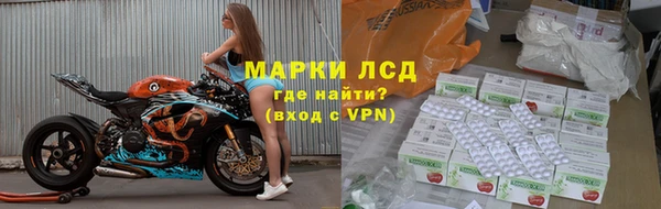 индика Елизово