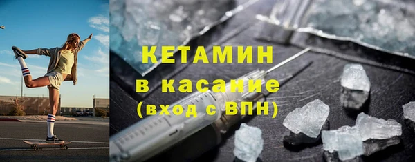 индика Елизово