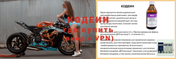 индика Елизово