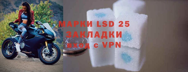 индика Елизово