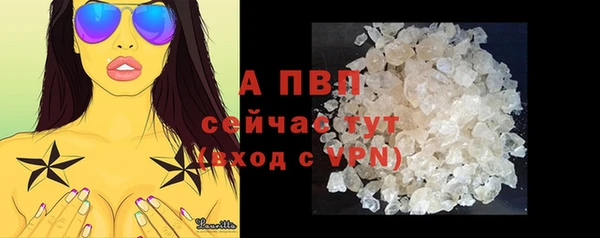 индика Елизово