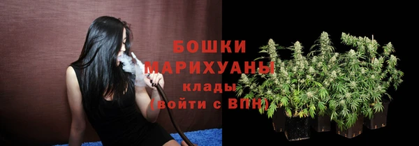 индика Елизово