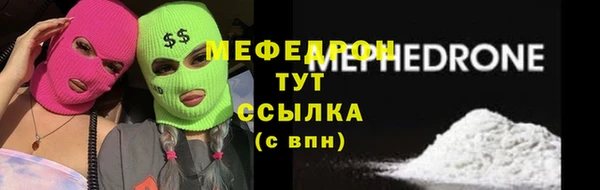 индика Елизово