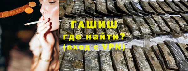 индика Елизово
