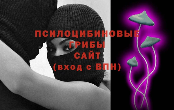 не бодяженный Ельня