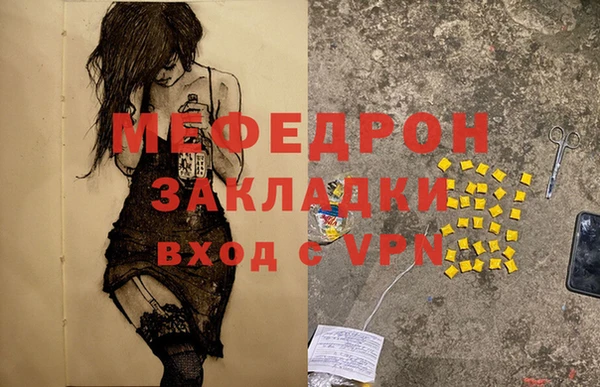 индика Елизово