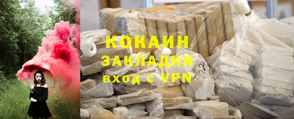индика Елизово