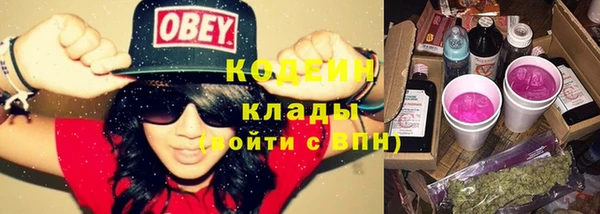 индика Елизово