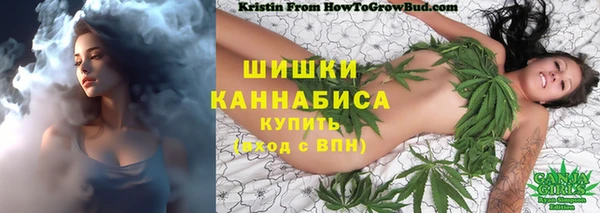 индика Елизово