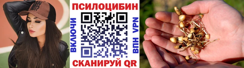 как найти закладки  MEGA зеркало  Галлюциногенные грибы мицелий  Каргополь 